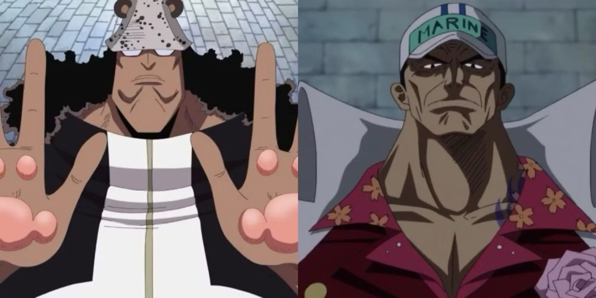 Kuma và Akainu
