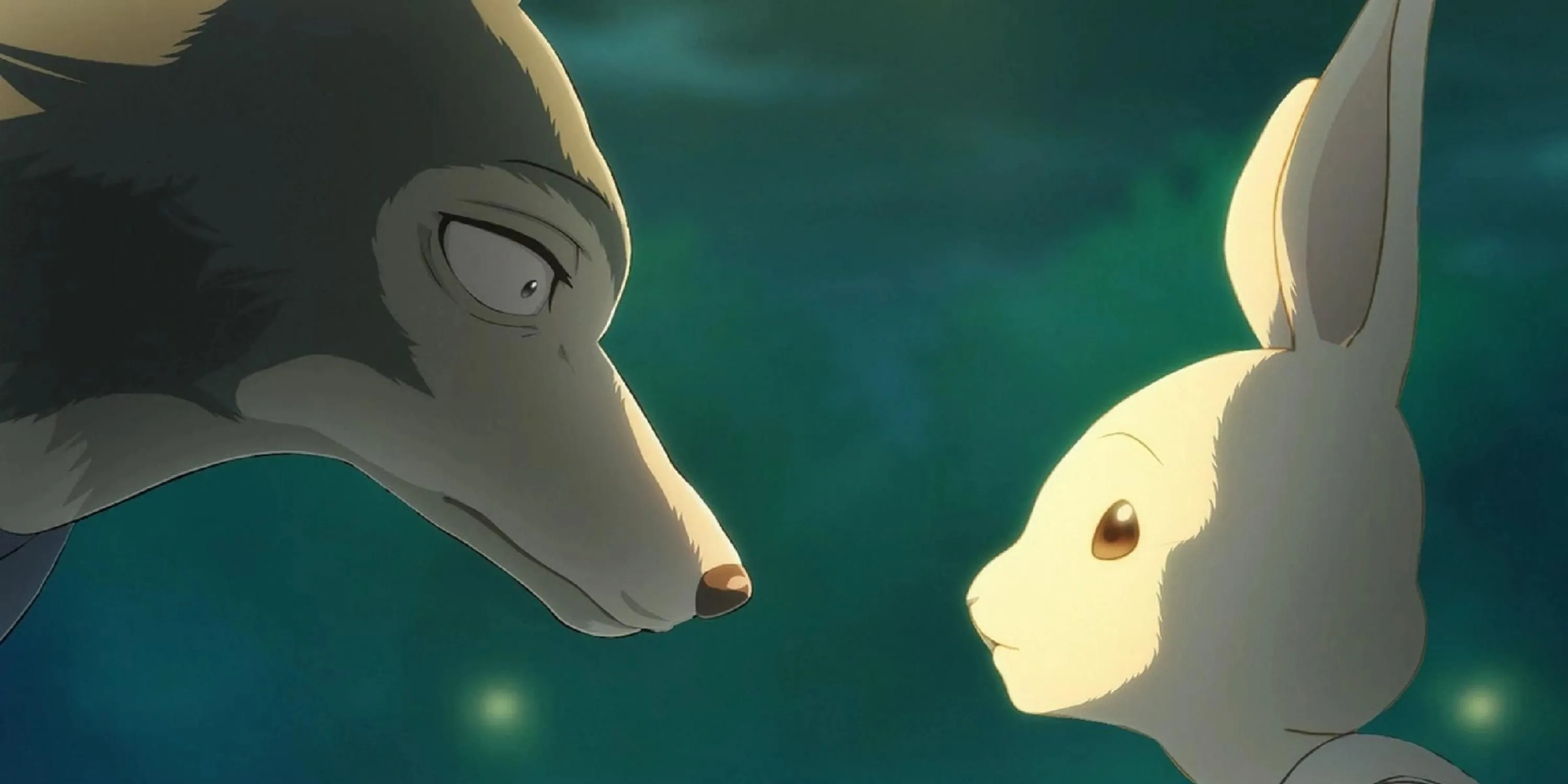 Legoshi và Haru trong anime Beastars
