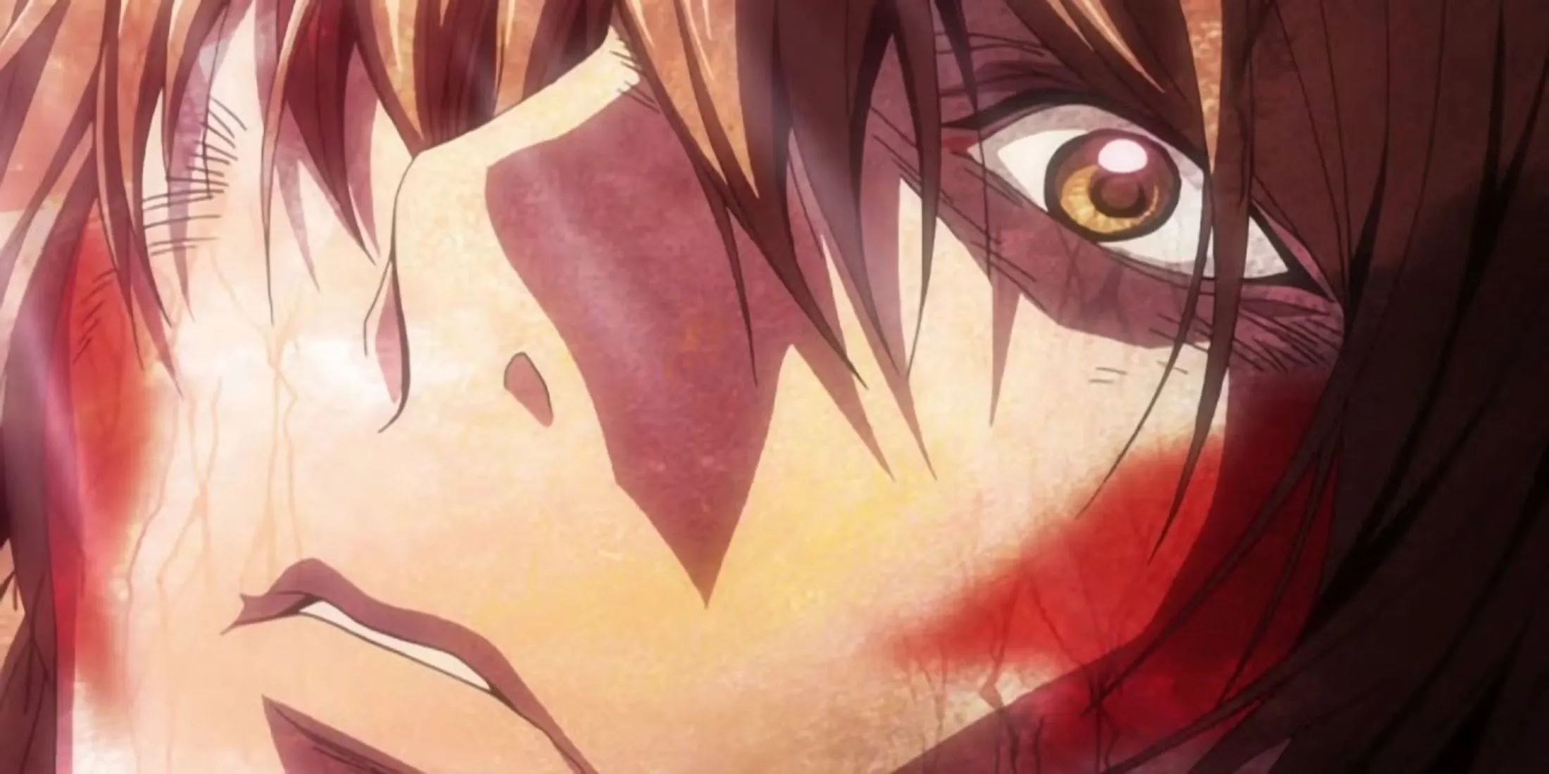 Light Yagami trong những giây phút cuối cùng ở kết thúc anime Death Note.