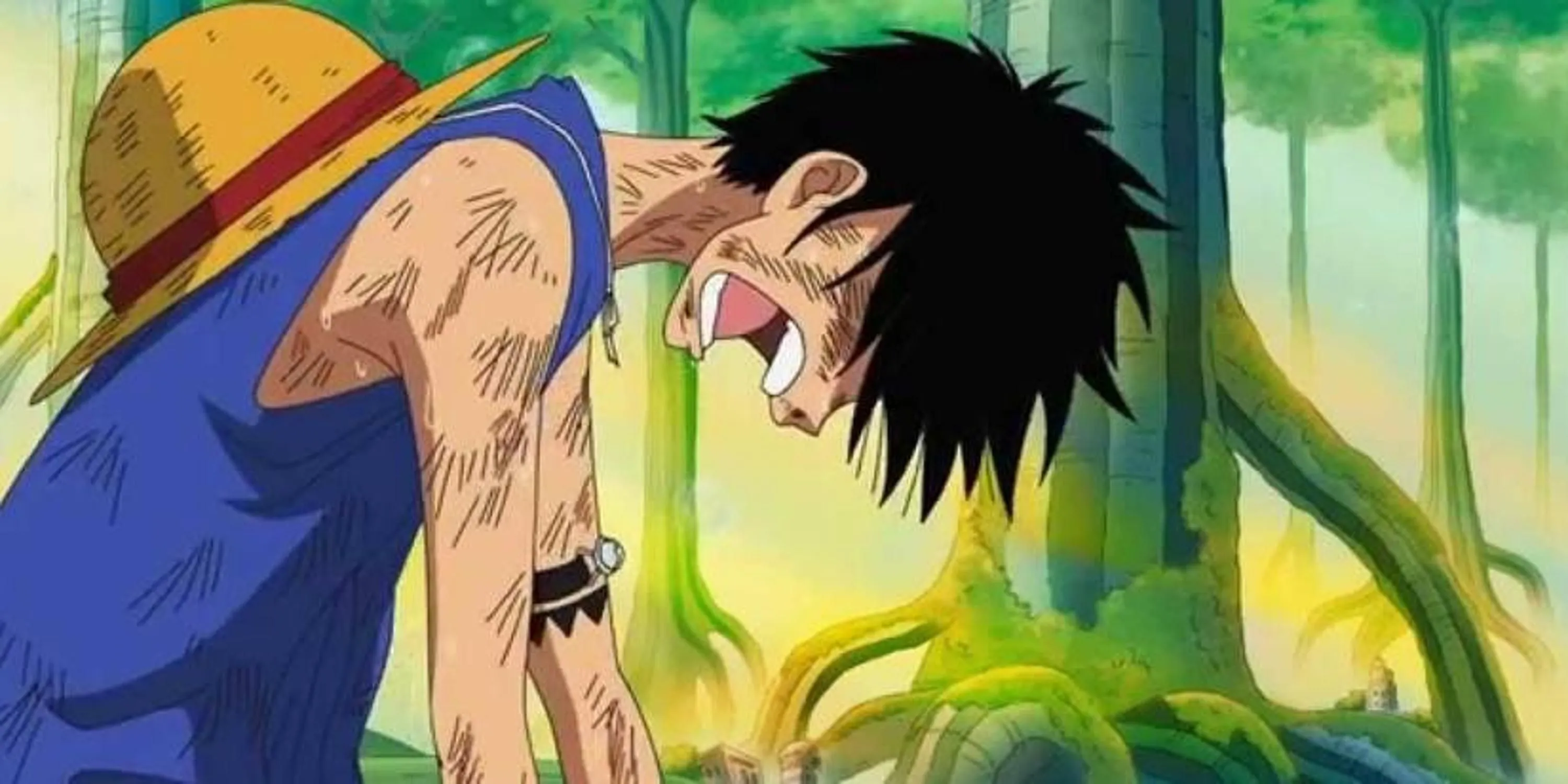 Luffy bật khóc và nhìn xuống một cách tuyệt vọng