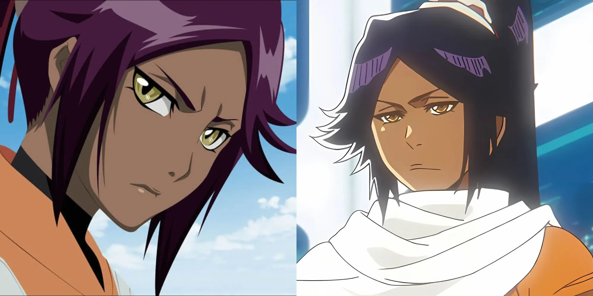 Yoruichi Shihouin ở cả hai dạng mèo và người