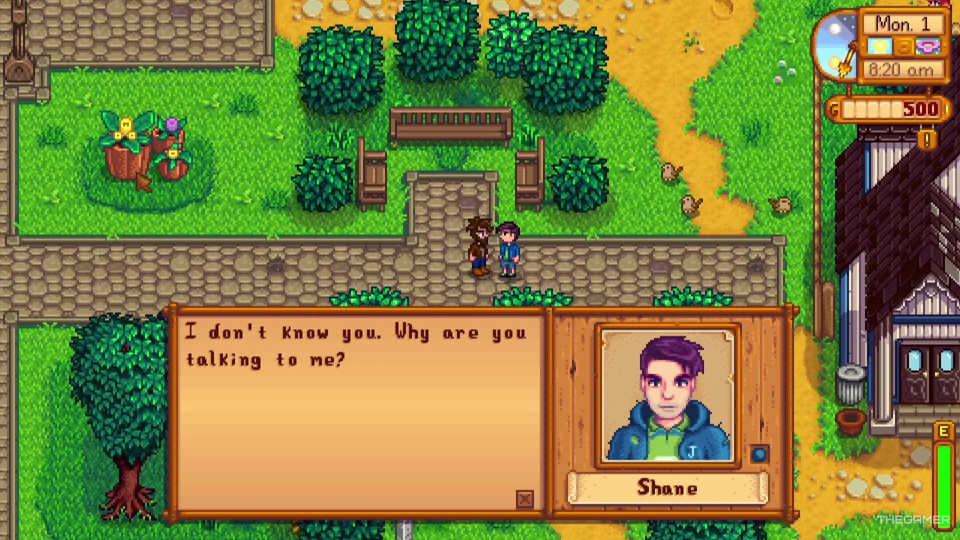 Shane trong Stardew Valley đối diện với người chơi, minh họa cho việc tặng quà để tăng điểm tình cảm mà không cần thấu hiểu sở thích thực sự của đối phương.