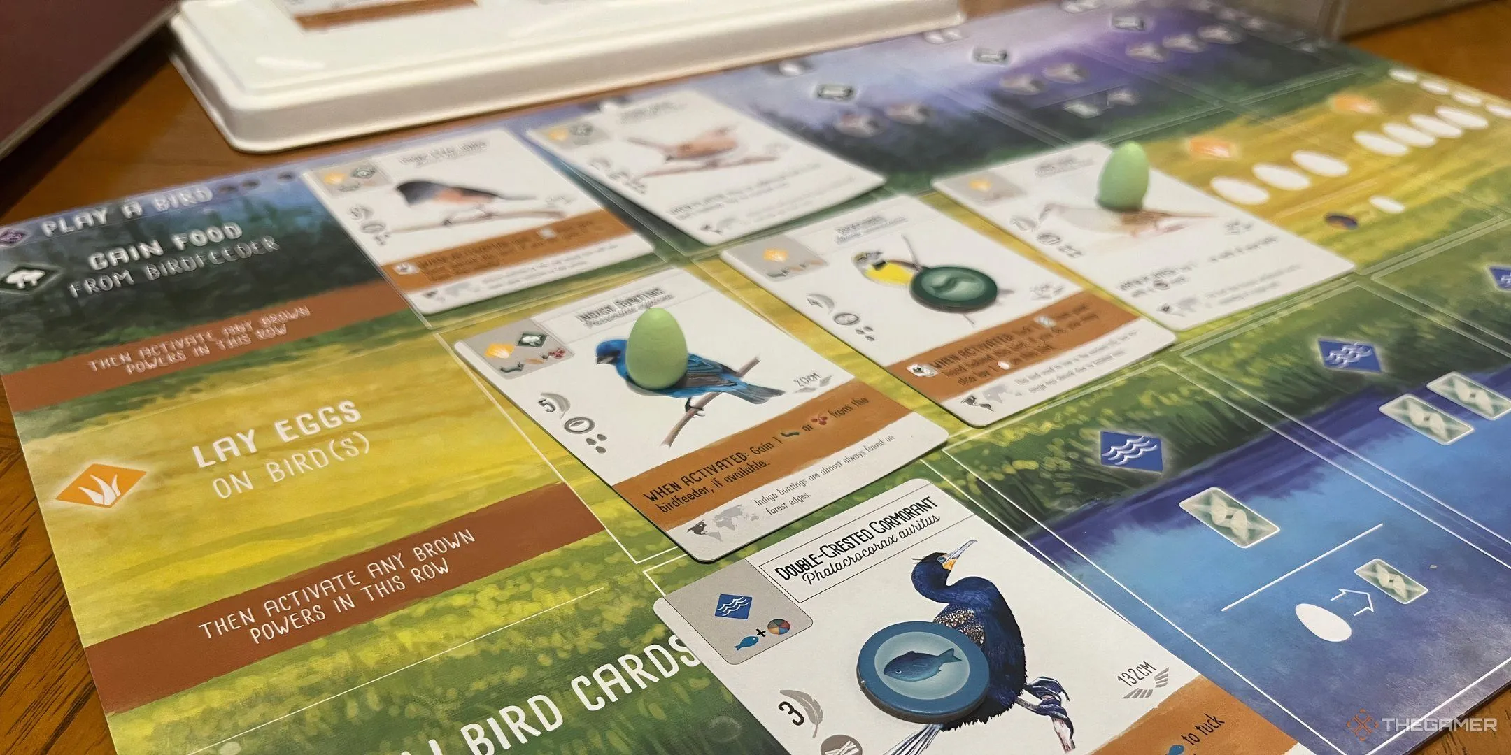 Tấm bảng người chơi trong game Wingspan với các ô đặt chim và trứng, minh họa lối chơi xây dựng môi trường sống cho chim