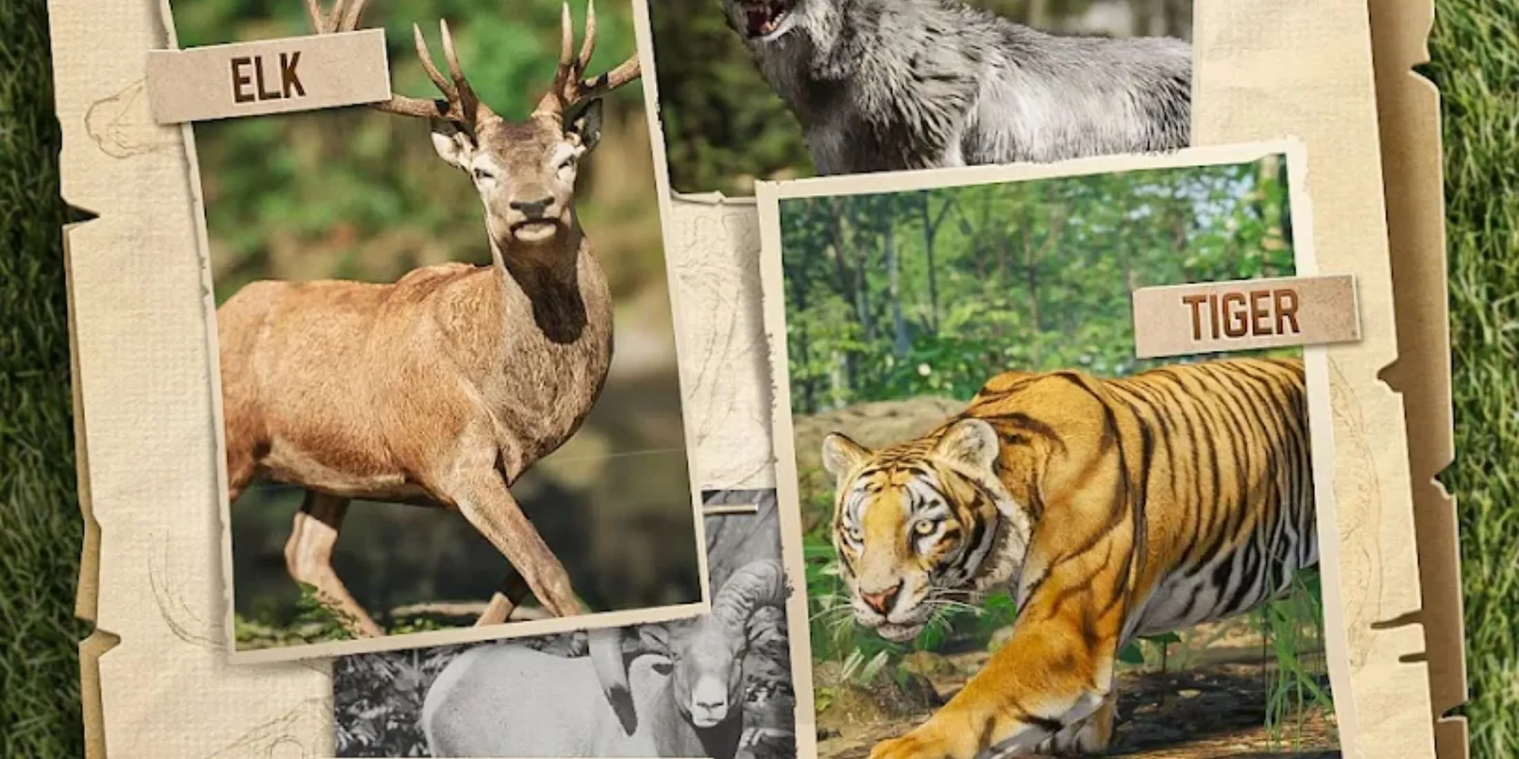 Cảnh săn với hươu và hổ trong Hunting Sniper, minh họa lợi ích của vũ khí mạnh và chest hiếm