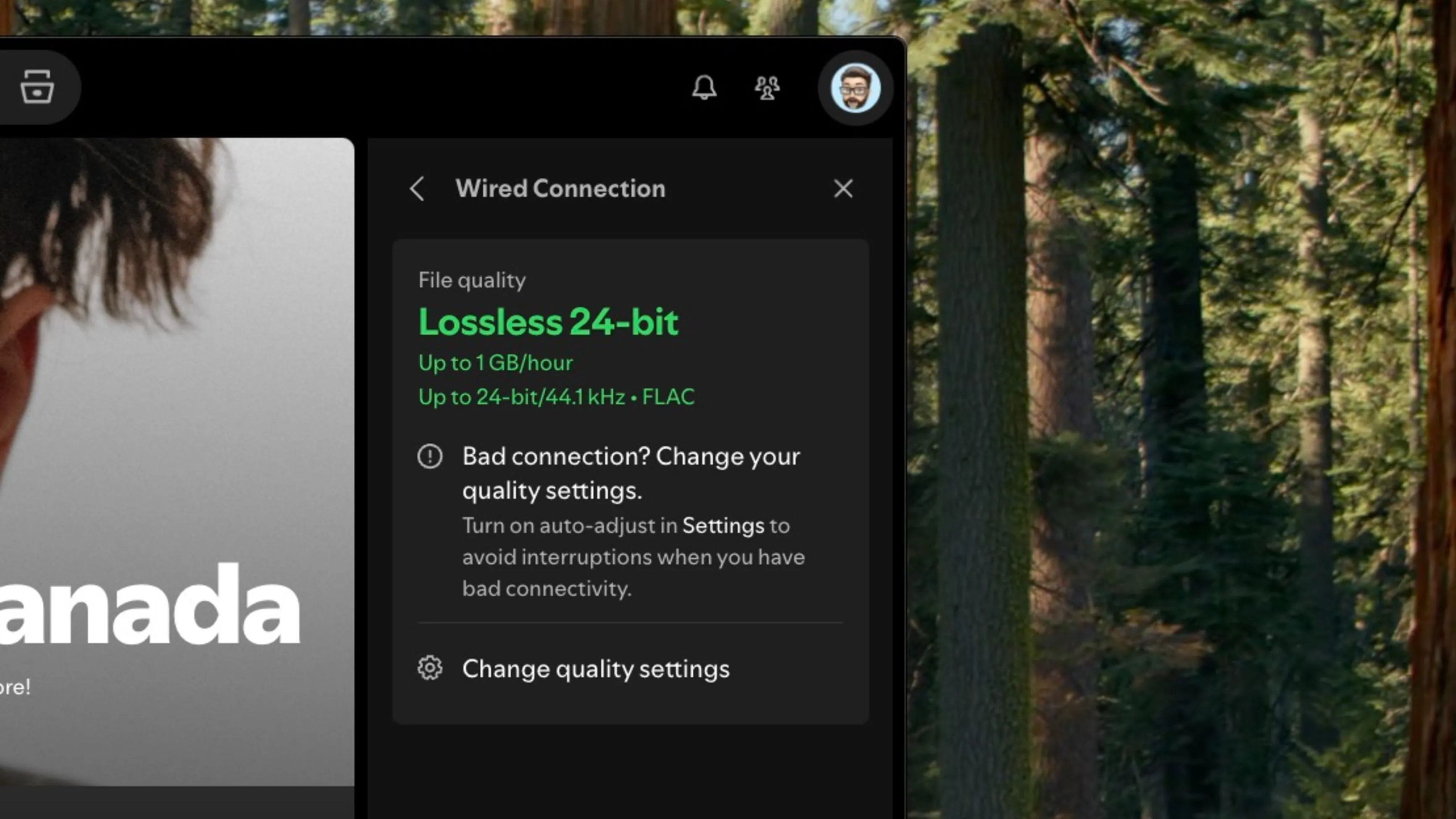 Giao diện Spotify Lossless trên ứng dụng desktop hiển thị tùy chọn chất lượng âm thanh FLAC