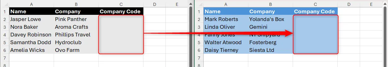 Hai worksheet Excel, mỗi sheet có dữ liệu nhân sự và vùng nhập mã công ty.
