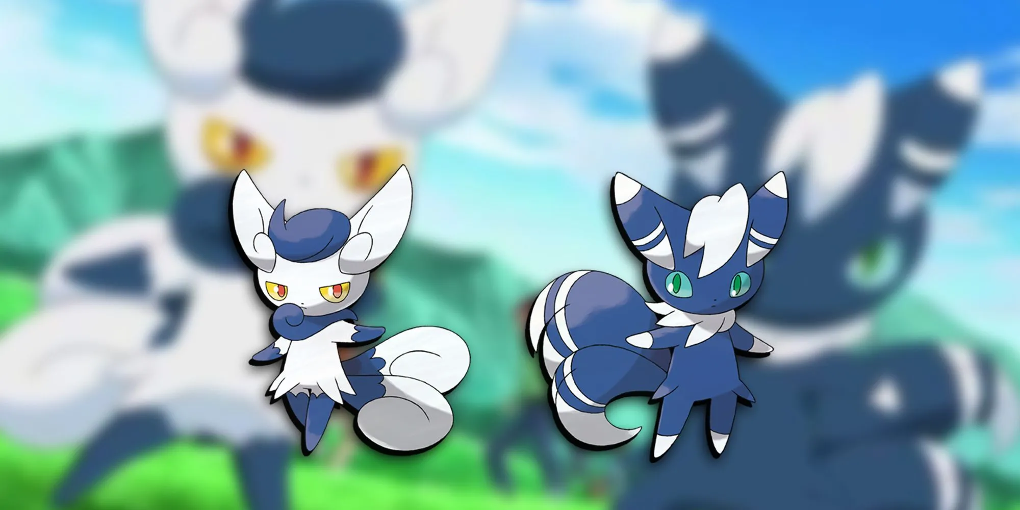 Meowstic đực và cái đối chiếu hình thể và dáng đi